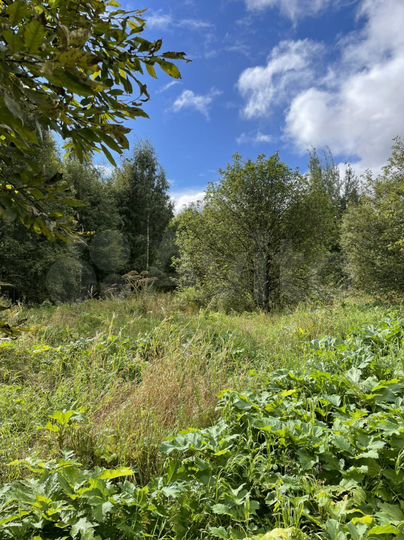 Участок 12 сот. (ИЖС)