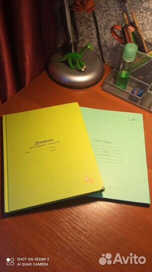 Дневник школьный+ тетради