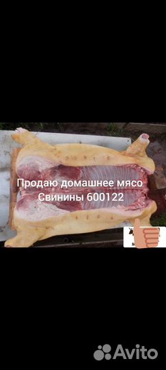 Продается домашнее мясо свинины, на сало