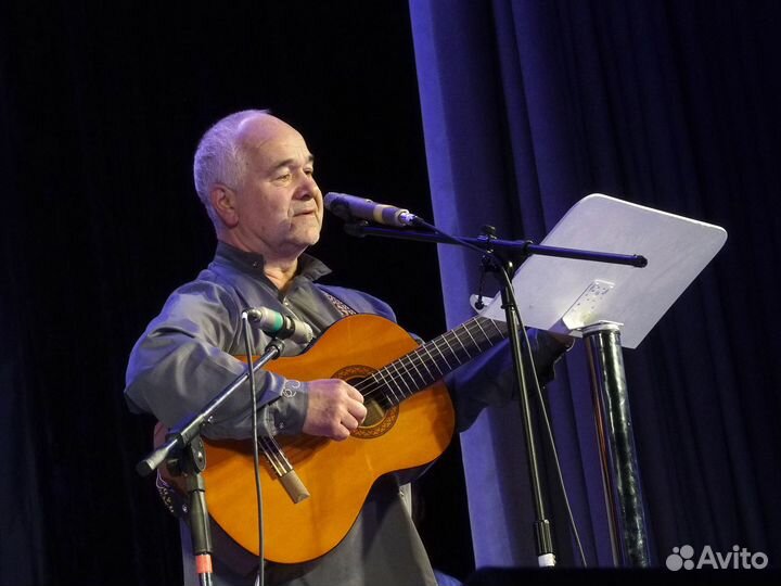 Музыкант, гитарист, певец, автор-исполнитель