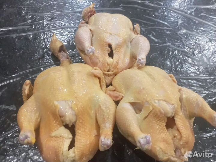 Куры свежие халяль