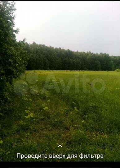 Участок 17,5 га (СНТ, ДНП)