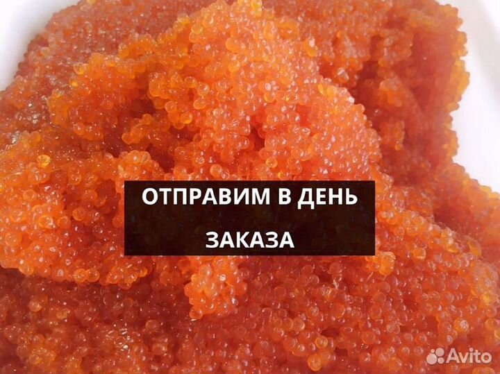 Икра Кеты опт