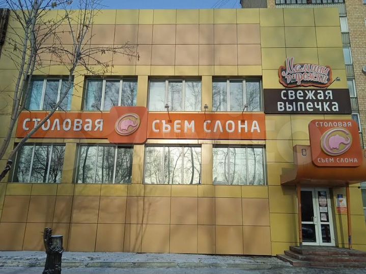 Общепит, 310 м²
