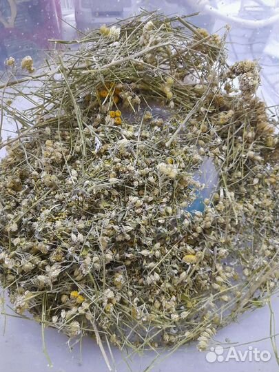 Лекарственные растения