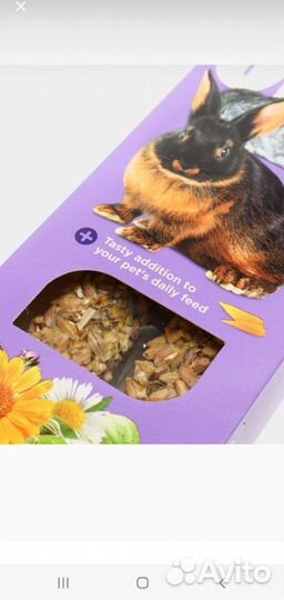 Лакомство для грызунов