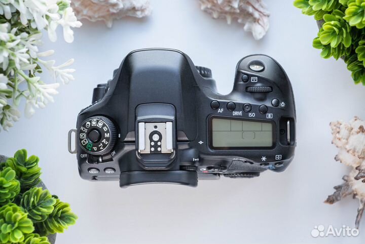 Canon 80d body