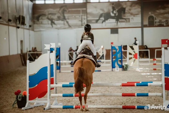 Лучший учитель для начинающего всадника