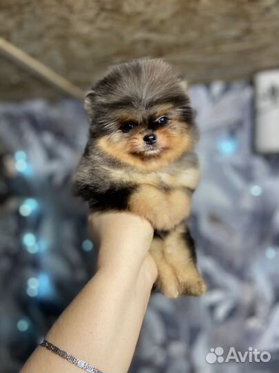 Мальчишечка