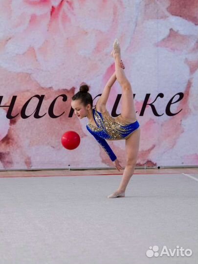 Мяч гимнастический pastorelli