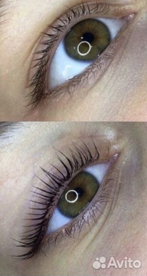 Обучение индивидуальное ламинирование ресниц брови