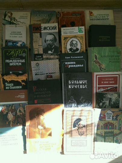 Одиссея по неволе Я. М. Свет