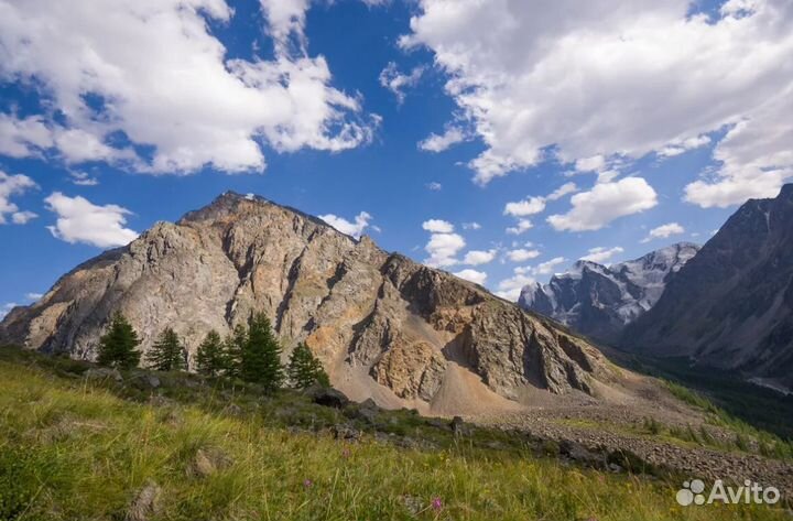 VIP-тур на Алтай 7 дней