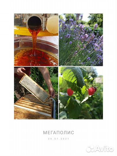 Мёд цветочный