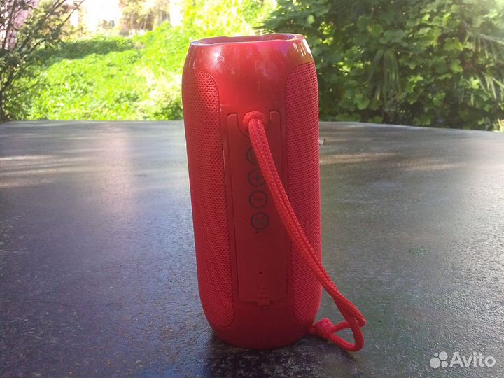 Bluetooth колонка T&G