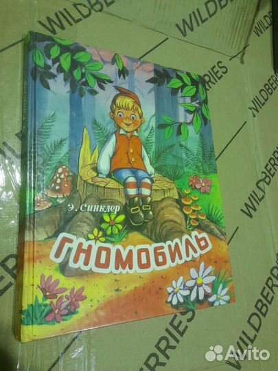 Эптон Синклер Гномобиль 1996г