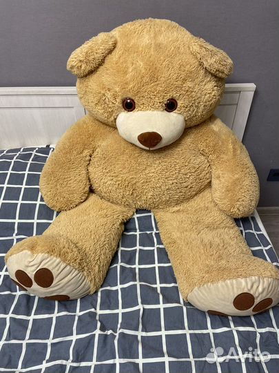 Большие плюшевые медведи