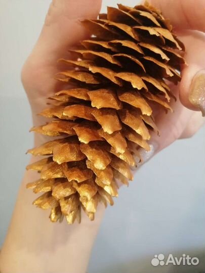 Шишки еловые крашенные