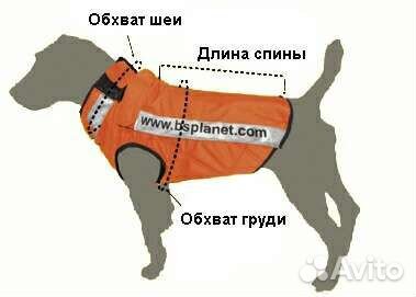 Защитный бронежилет для охотничьей собаки