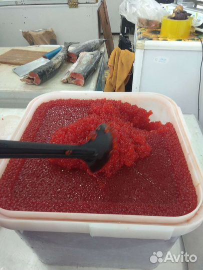 Икра красная 2023