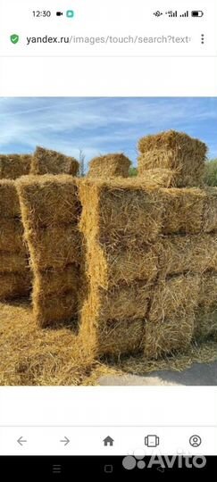 Солома ржаная в тюках