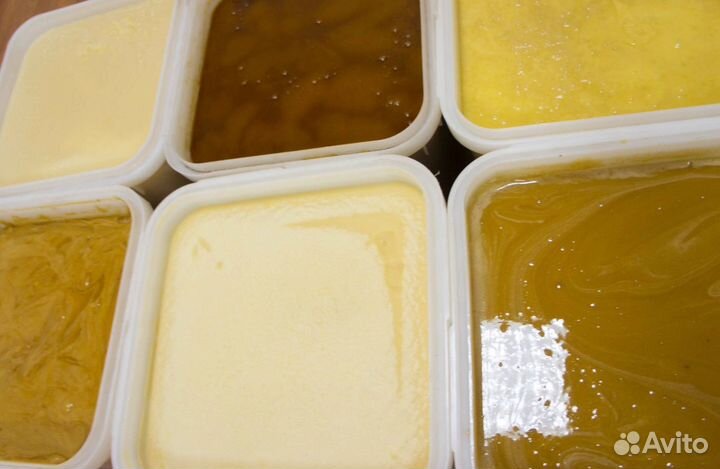 2024 Мед натуральный алтайский оптом