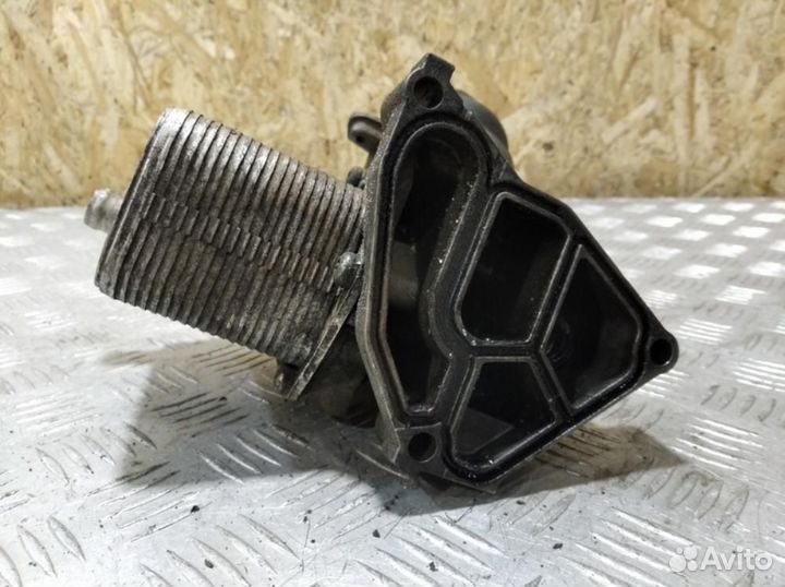 Радиатор масляный Bmw X5 e53 2000-2007