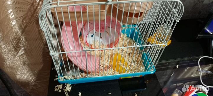 Клетка б/у с хомяком