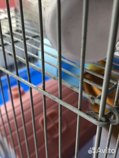 Клетка для мелких грызунов