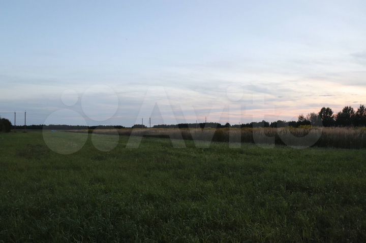 Участок 26,6 сот. (СНТ, ДНП)