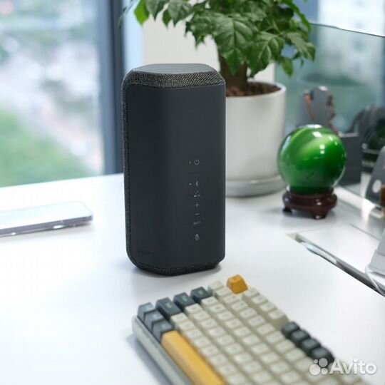 Портативная колонка Sony SRS-XE300