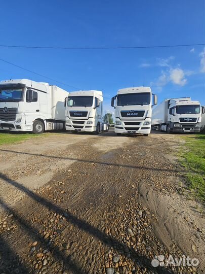 Требуется водитель категории Е на рефрежиратор