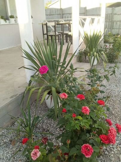 Дом 60 м² на участке 100 сот.