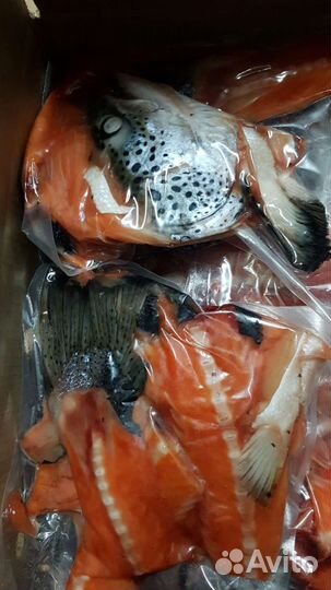 Суповой набор из Лосося/Форели с/м