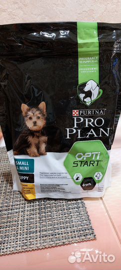 Сухой корм для собак