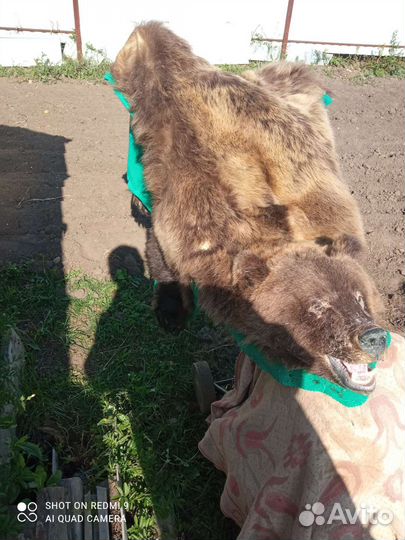 Шкура медведя имитация