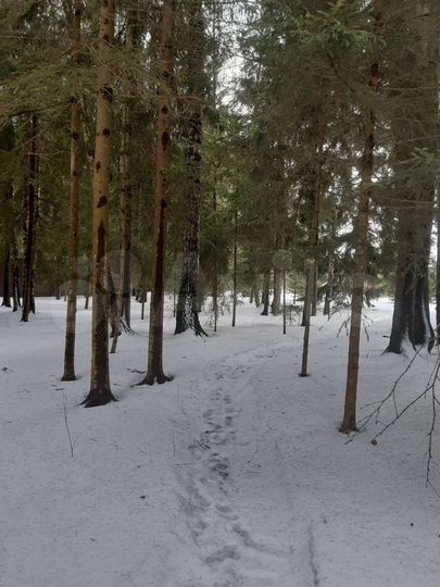 Участок 13,5 сот. (ИЖС)