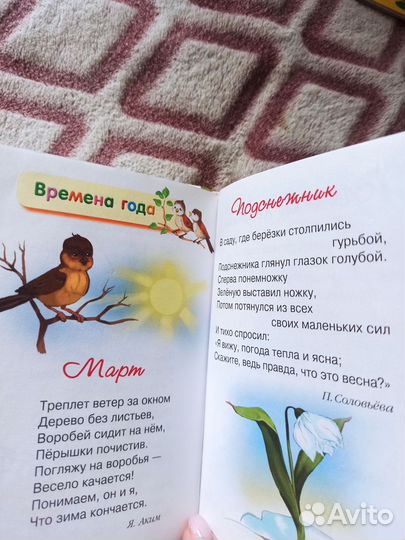 Книги, тетради