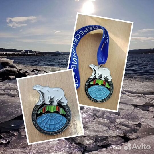 Медаль+значок за пересечение полярного круга