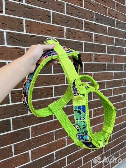 Ошейники Поводки Шлейки Амуниция для собак