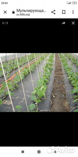 Пленка мульчирующая