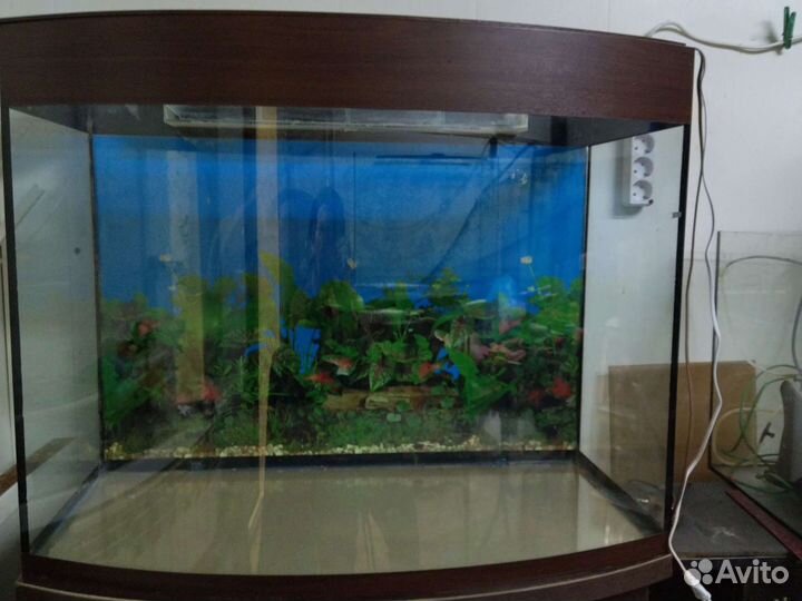 Аквариум