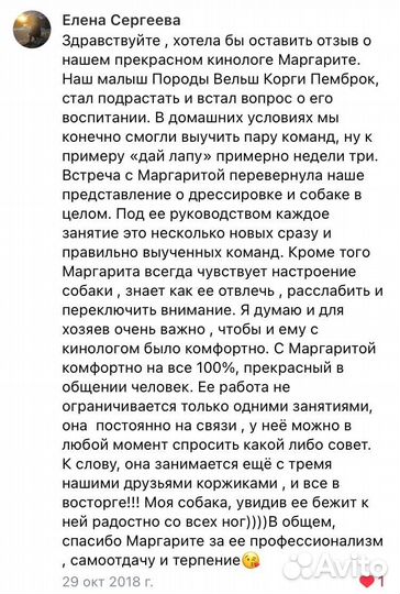 Кинолог зоопсихолог дрессировка собак