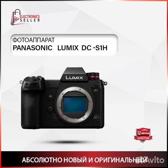 Panasonic lumix DC -S1H