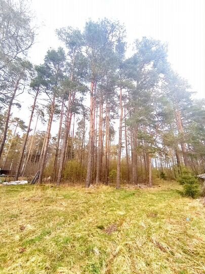 Дом 60 м² на участке 28,6 сот.