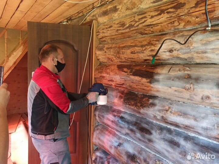 Уничтожение плесени и грибка