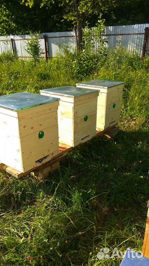 Улей,рамки