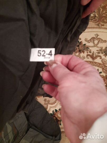 Одежда