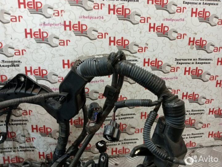 Проводка двс Toyota Rav4 ACA30 2adftv 2008