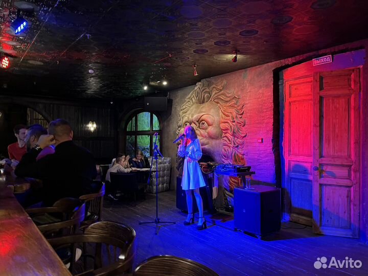 Музыканты на мероприятие, дуэт. Певица